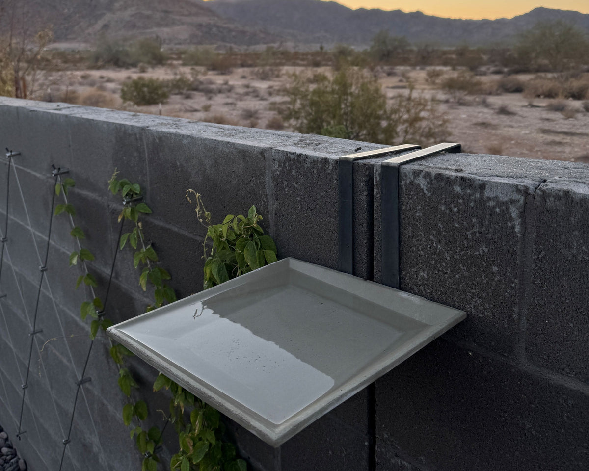 Birdie Basin