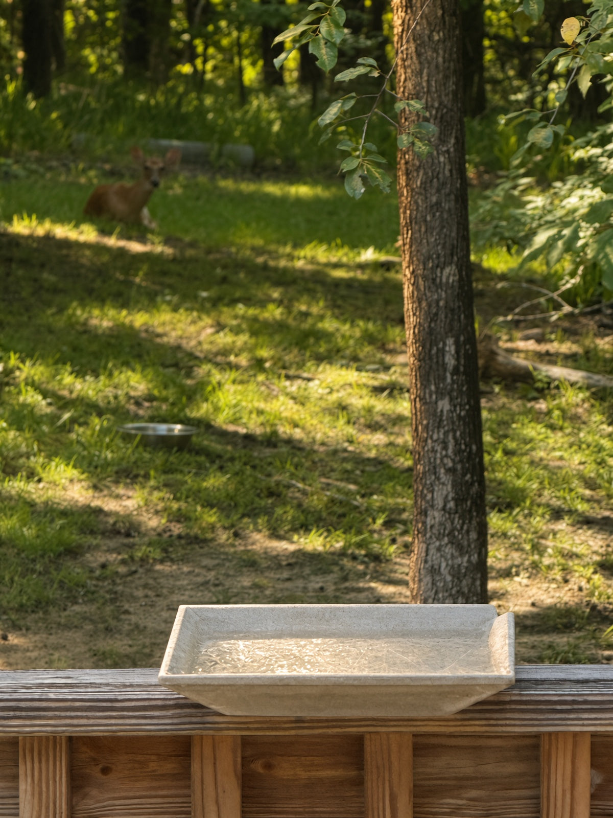 Birdie Basin For Decks/Patios